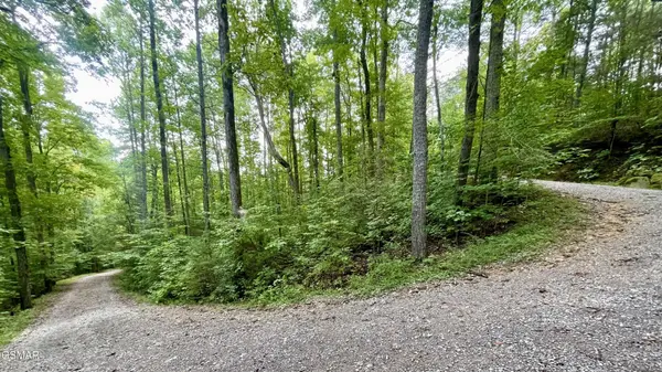 28 Walden Cove Way, Sevierville, TN 37862