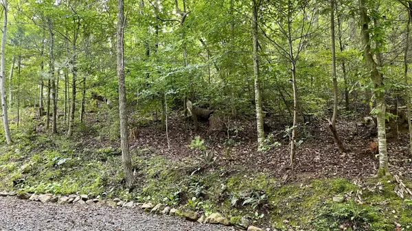 28 Walden Cove Way, Sevierville, TN 37862