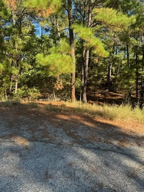 Lot 1395 Kaupa CT, Bastrop, TX 78602