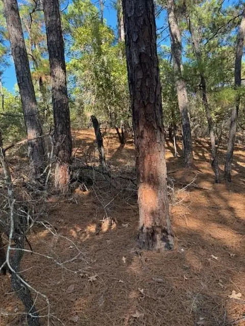 Lot 1395 Kaupa CT, Bastrop, TX 78602
