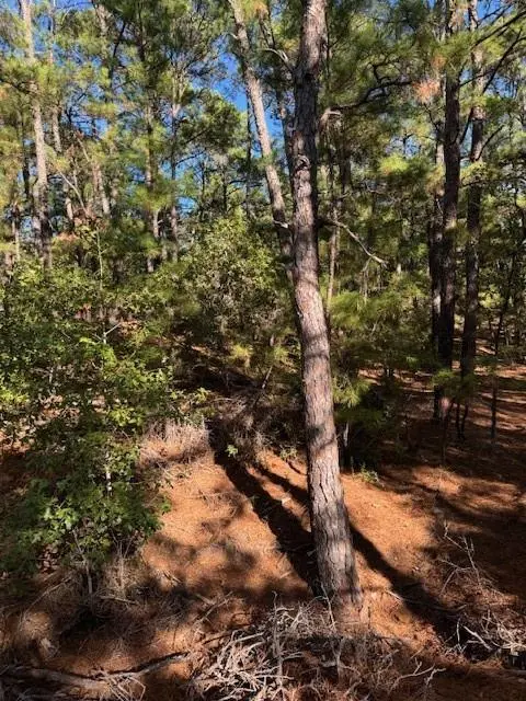 Lot 1395 Kaupa CT, Bastrop, TX 78602