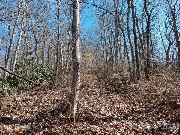 00 Bee Tree RD #103B, Swannanoa, NC 28778