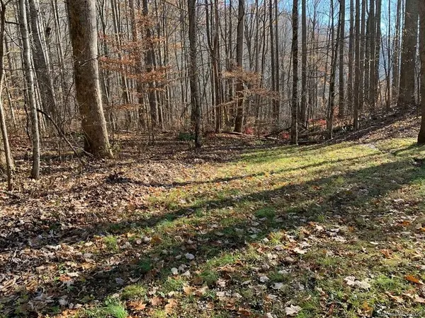 Lot #18 Kingfisher LN #18, Sylva, NC 28779