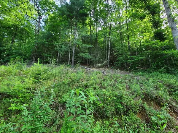 LOT 44 Laurel Mountain View RD, Flat Rock, NC 28792