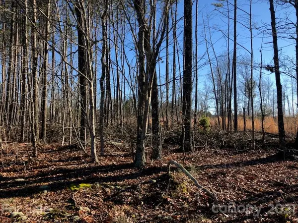 00 NC Hwy 24/27 HWY, Biscoe, NC 27209