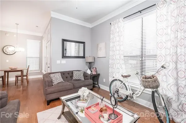 518 Steel Gardens BLVD, Charlotte, NC 28205