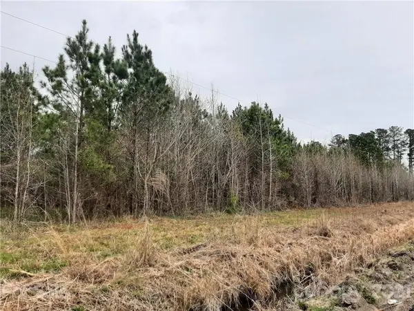 4870 Narrow Paved RD, Lynchburg, SC 29080