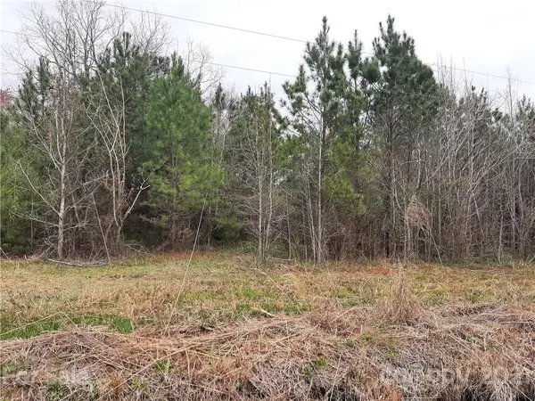4870 Narrow Paved RD, Lynchburg, SC 29080