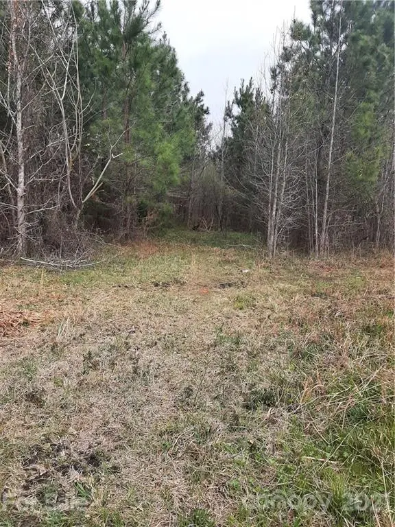4870 Narrow Paved RD, Lynchburg, SC 29080