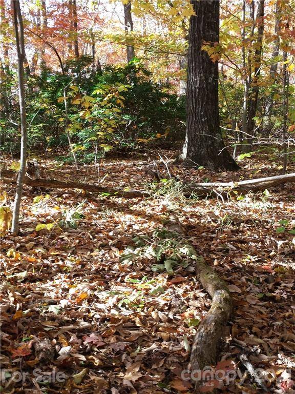 Lot 49 Hickory Acres RD #49, Edneyville, NC 28792
