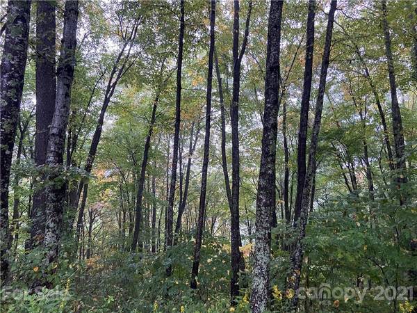 TBD Summit Ridge TRL, Hot Springs, NC 28743