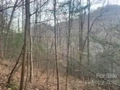 Lot #1 Cat Pen BR,  Hot Springs,  NC 28743