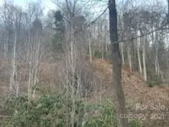 Lot #1 Cat Pen BR, Hot Springs, NC 28743