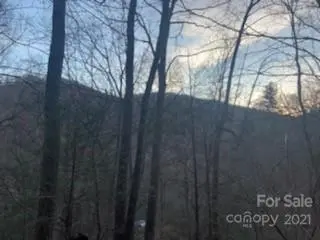 Lot #1 Cat Pen BR, Hot Springs, NC 28743