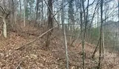 Lot #1 Cat Pen BR, Hot Springs, NC 28743