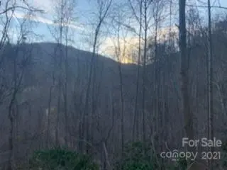 Lot #1 Cat Pen BR, Hot Springs, NC 28743