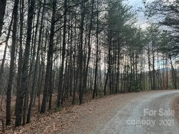 0000 Piney Creek DR #2, Lake Lure, NC 28746