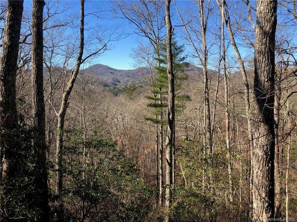 11 Shepherds Gap RD #11, Cullowhee, NC 28723