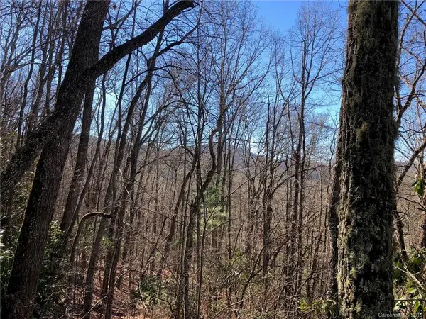 11 Shepherds Gap RD #11, Cullowhee, NC 28723