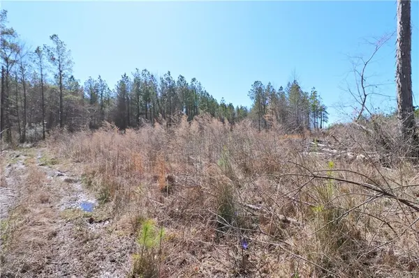6701 Mount Pleasant RD S, Concord, NC 28025