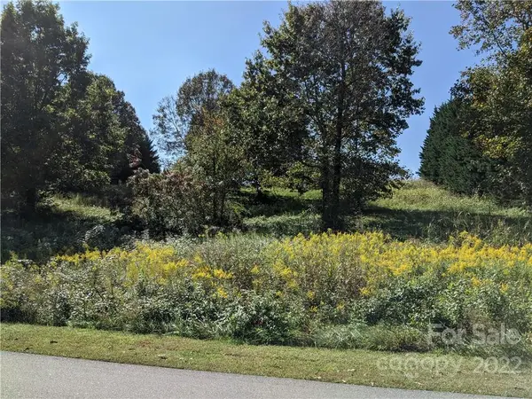 Lot 21 Chesterfield DR #21, Taylorsville, NC 28681