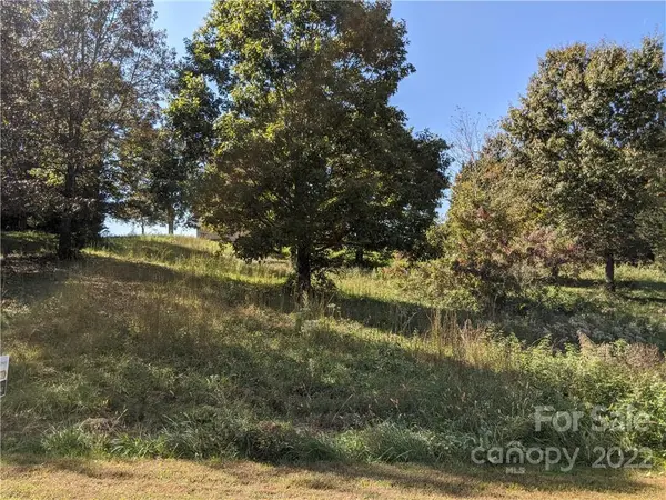 Lot 21 Chesterfield DR #21, Taylorsville, NC 28681