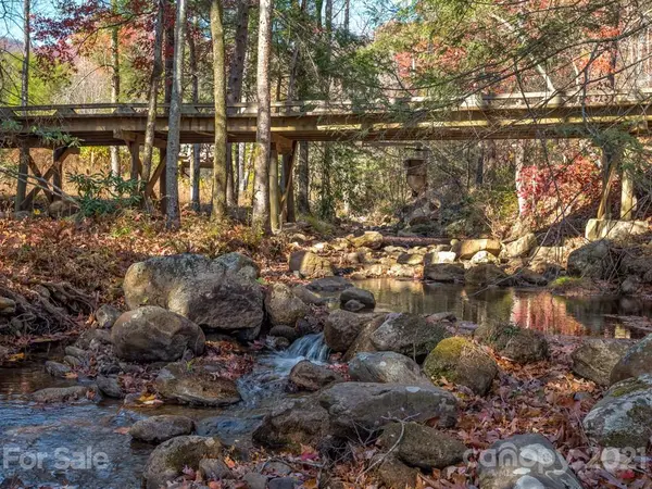 LOT 119 Chesterfield DR, Mill Spring, NC 28756