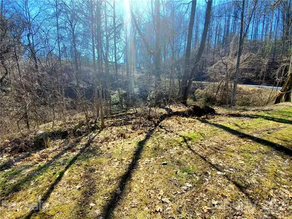 0 Big Hungry RD #Lot 8, Flat Rock, NC 28731
