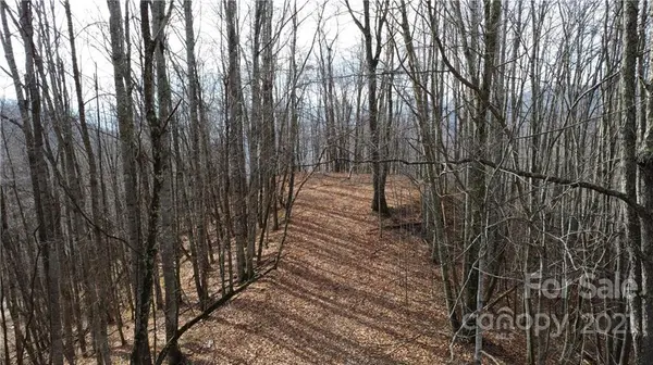 28 and 29 Listening Cove RD #Lot 28 and 29, Clyde, NC 28721