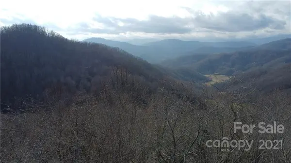 28 and 29 Listening Cove RD #Lot 28 and 29, Clyde, NC 28721