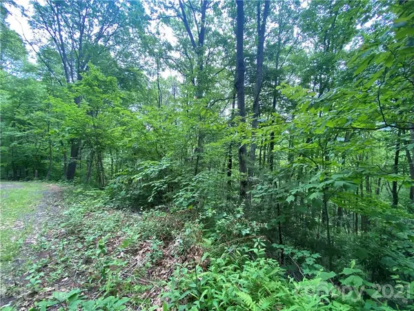 00 Libbies LN #3 & 4, Waynesville, NC 28786