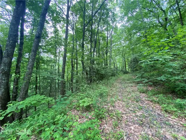 00 Libbies LN #3 & 4, Waynesville, NC 28786