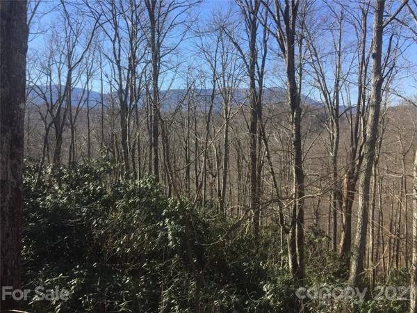 Lot 25 Rainbow Trout DR, Little Switzerland, NC 28777