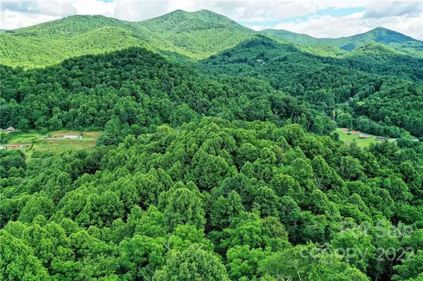 Lot 36 Village View DR, Sylva, NC 28779