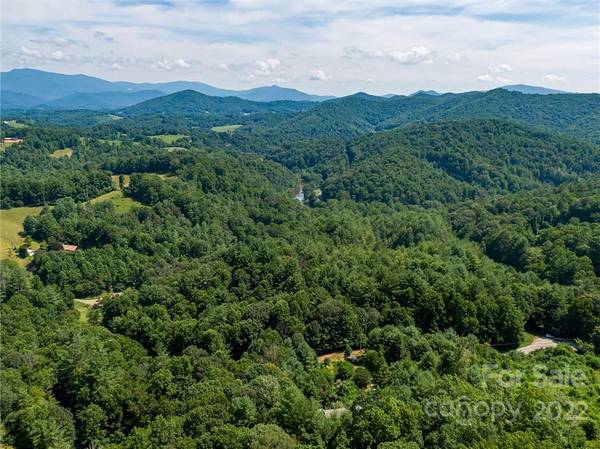 0000 Double Island RD, Burnsville, NC 28740