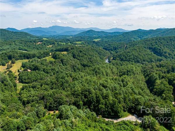 0000 Double Island RD, Burnsville, NC 28740