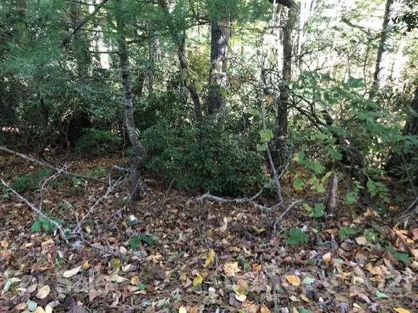 0 Swiss Pine Lake DR #8, 18 & 19, Spruce Pine, NC 28777