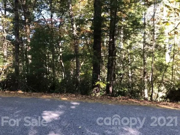 0 Swiss Pine Lake DR #8, 18 & 19, Spruce Pine, NC 28777