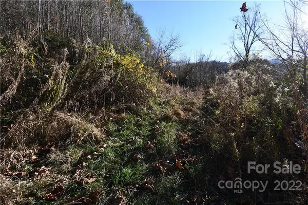 200 Granger Mountain RD, Hot Springs, NC 28743