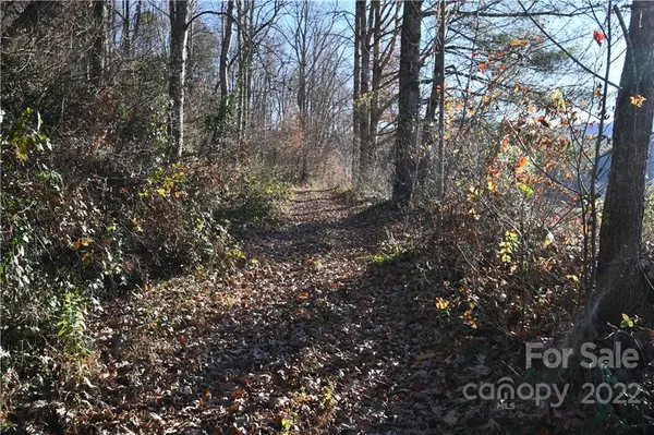 200 Granger Mountain RD, Hot Springs, NC 28743
