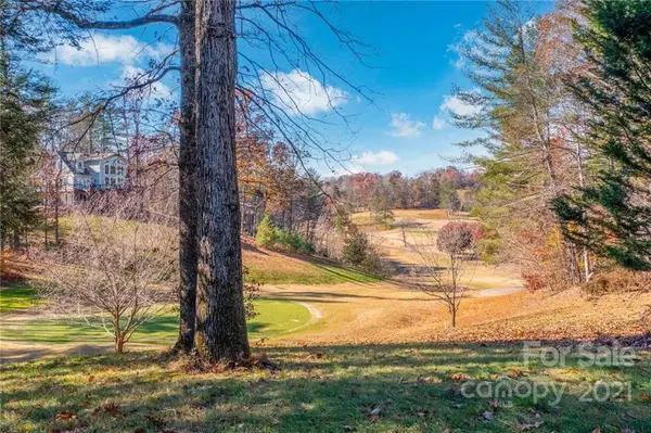 5 White Pine LN, Nebo, NC 28761