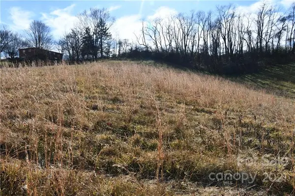 473 PHILLIPSVILLE LOOP, Canton, NC 28716