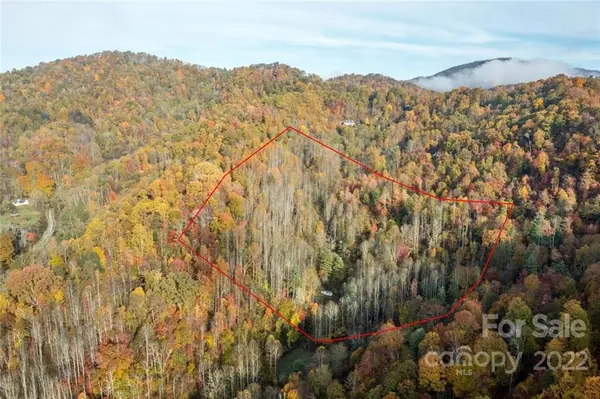 0 Fred Holcombe RD, Mars Hill, NC 28754