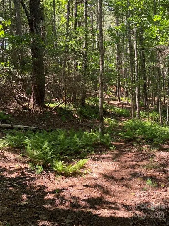 171 Big Tree WAY #4, Nebo, NC 28761