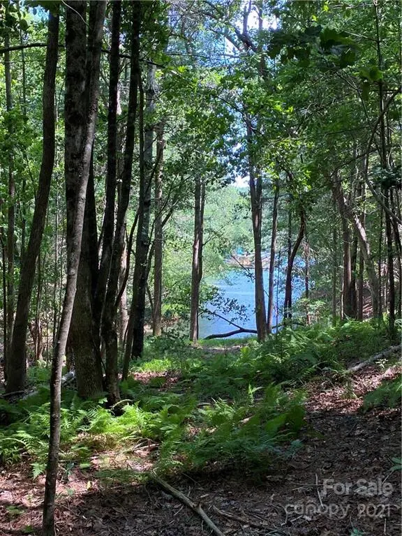 171 Big Tree WAY #4, Nebo, NC 28761