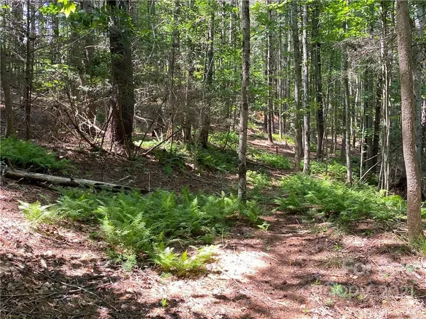 171 Big Tree WAY #4, Nebo, NC 28761