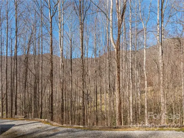 3504 Bald Creek RD, Clyde, NC 28721