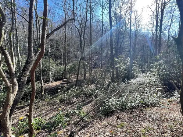 5.4 +/- Acres Bear Track RD #33A, Black Mountain, NC 28711