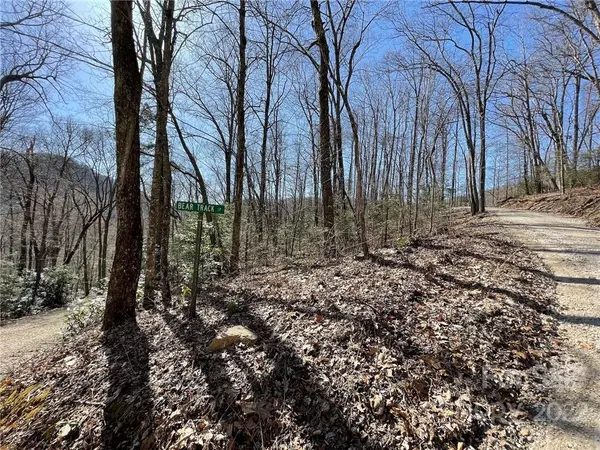 5.6 +/- Acres Cove RD #33B, Black Mountain, NC 28711
