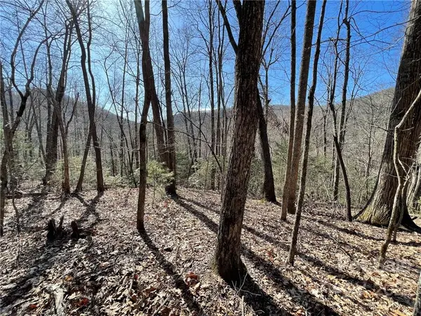 5.6 +/- Acres Cove RD #33B, Black Mountain, NC 28711